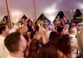 Bay Area Wedding DJ in Hawaii - Wedding Party
