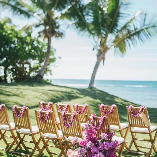 Loulu palm beach wedding chairs